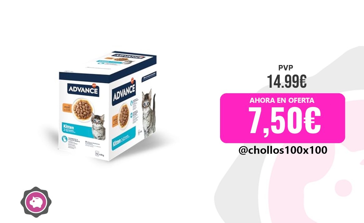 Comida húmeda para gatitos