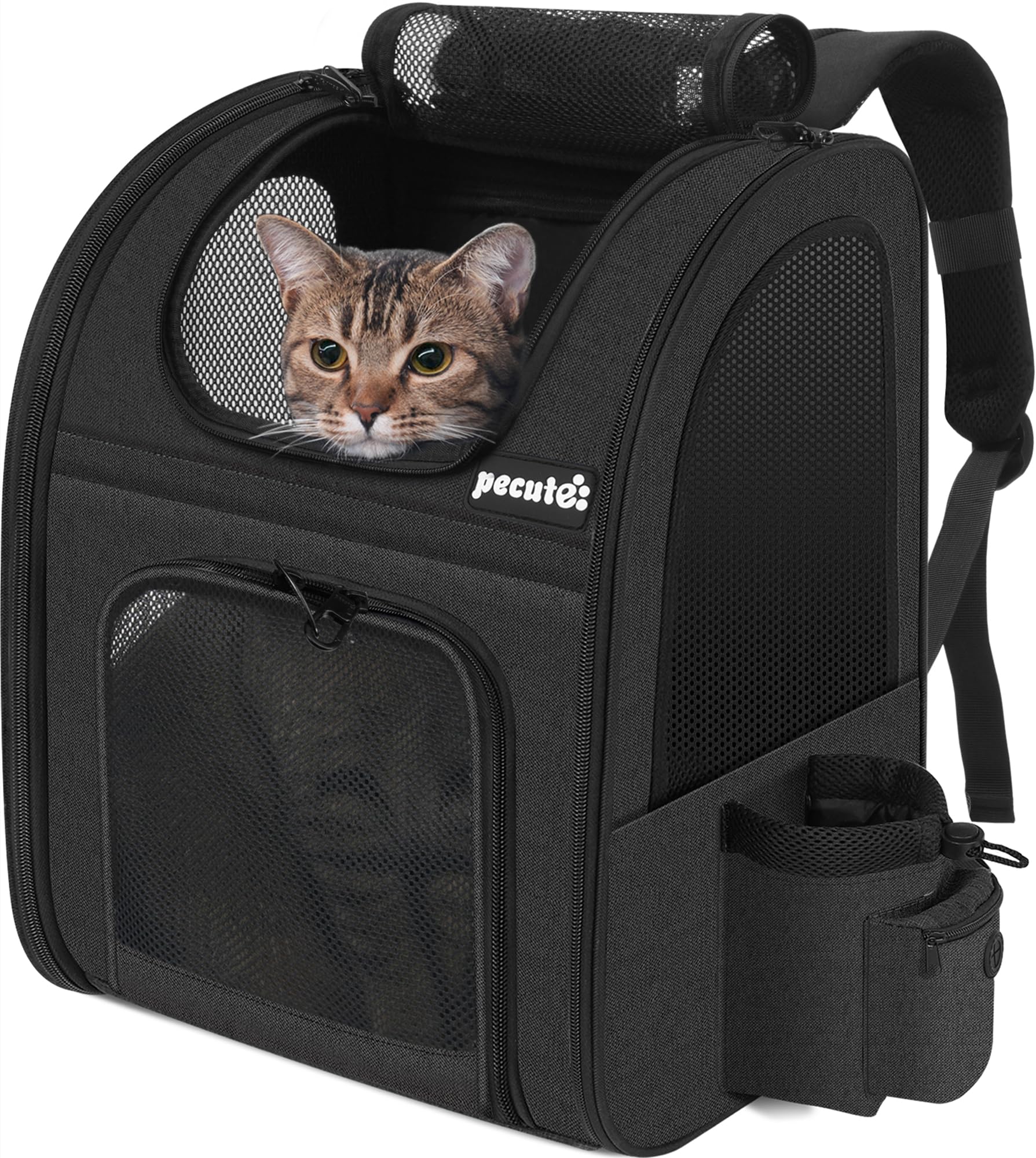 Pecute Transportin Perro Mochila para Mascotas ＜6kg, Mochila Gato con Ventana de Malla, Transpo